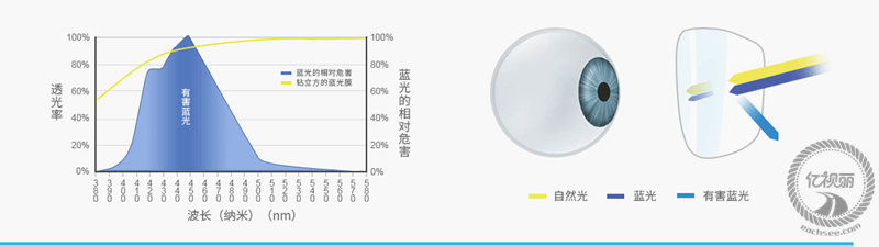 配镜咨询眼镜网 配镜咨询正品眼镜网