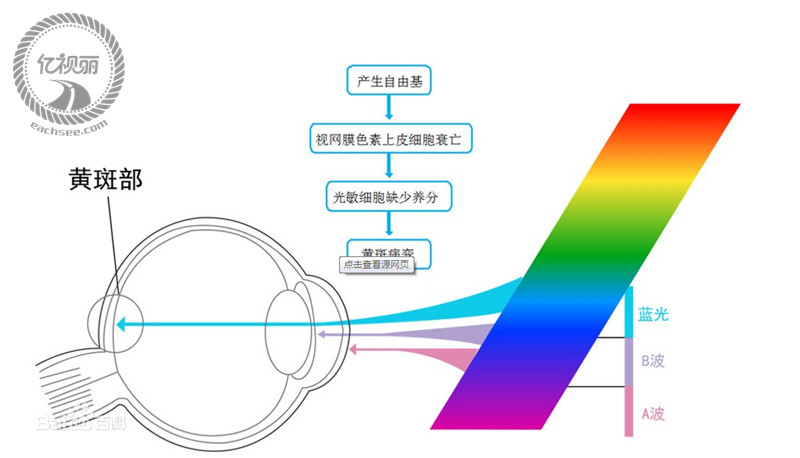 配镜咨询眼镜网 配镜咨询正品眼镜网