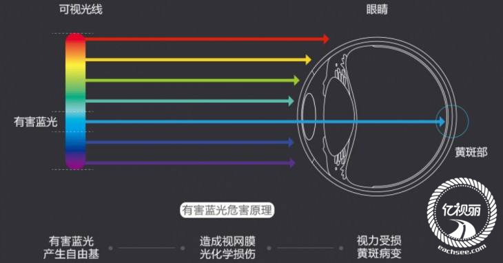 防蓝光眼镜 配镜咨询眼镜网防蓝光眼镜